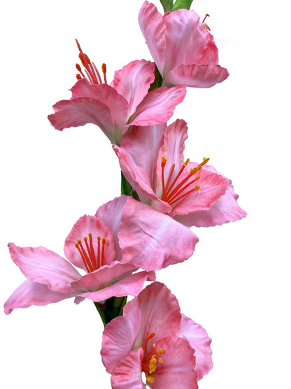 Artificial Gladiolus Pink Peach