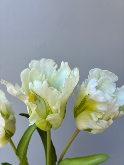 Artificial Real Touch Parrot Tulip Bundle White