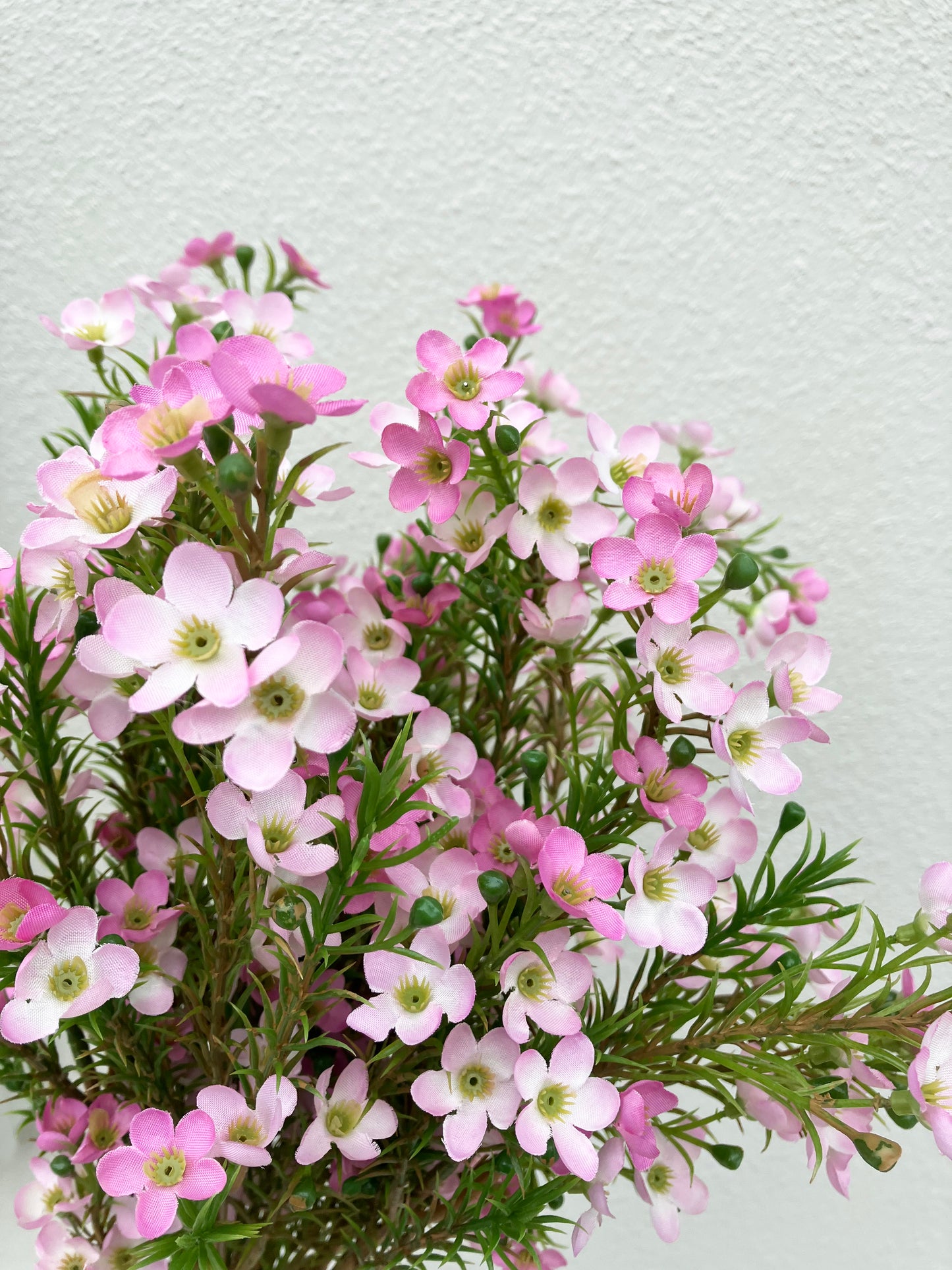 Artificial Australian Wax Flower Pink