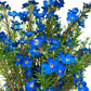 Artificial Australian Wax Flower Blue