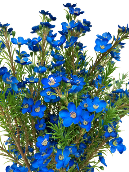 Flor de Cera Artificial Australiana Azul 