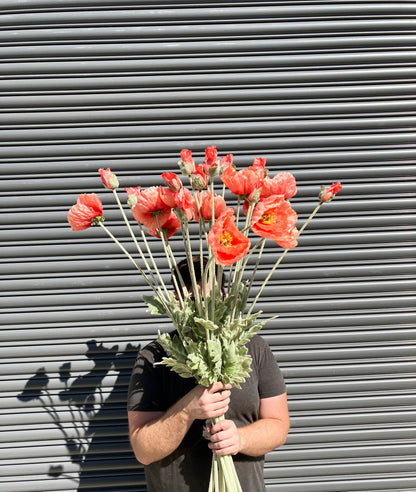Artificial Giant Poppy Watermelon