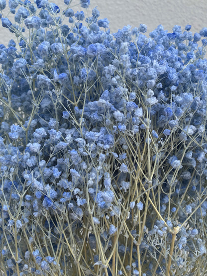 Dried Baby Breath Bleached Blue