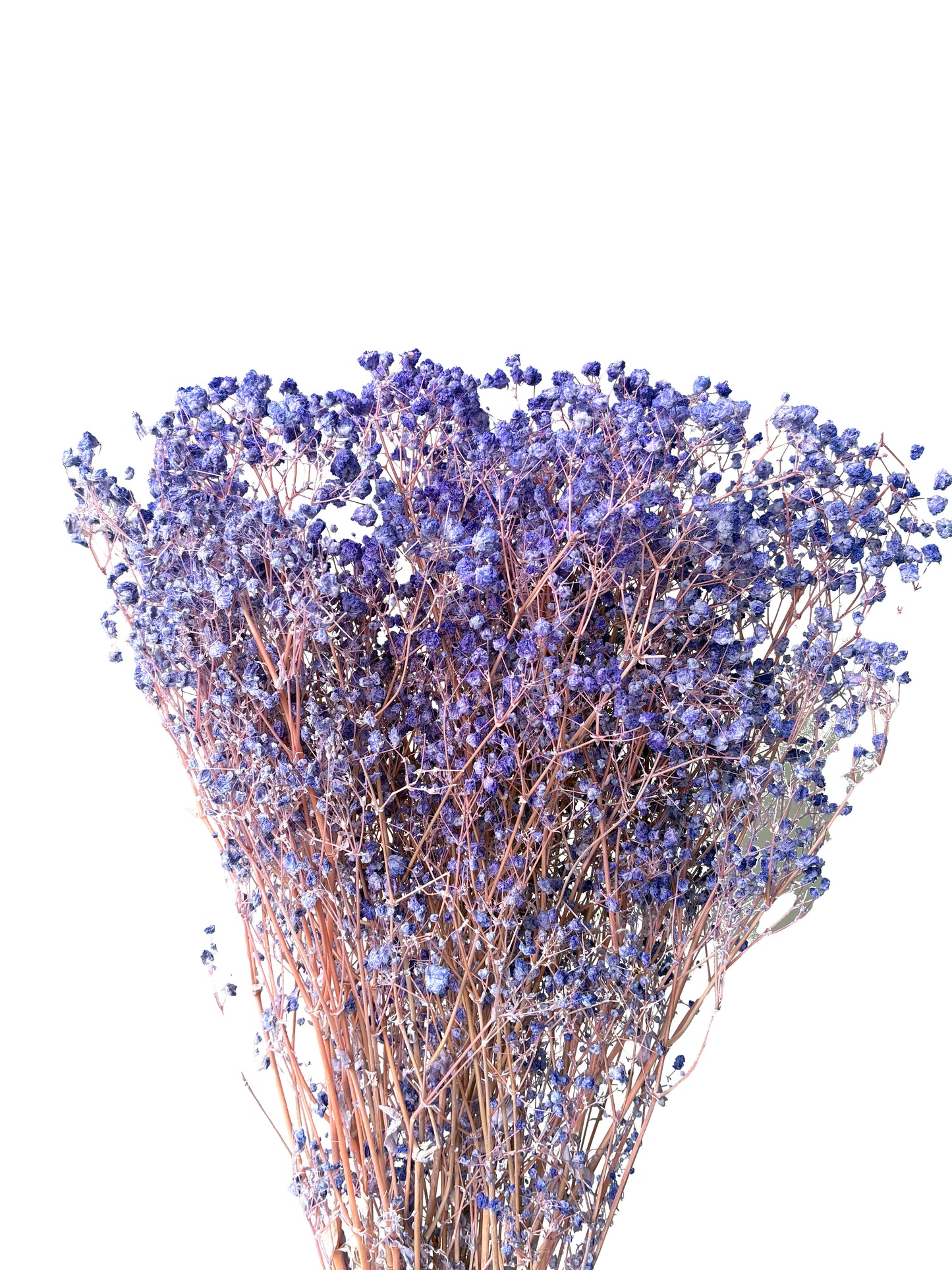 Dried Baby Breath Bleached Lavender Purple