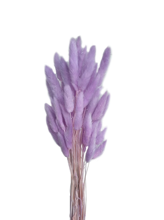 Dried Bunny Tails Purple