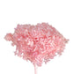 Dried Hydrangea Pink