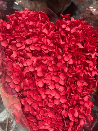 Hortensia séché rouge