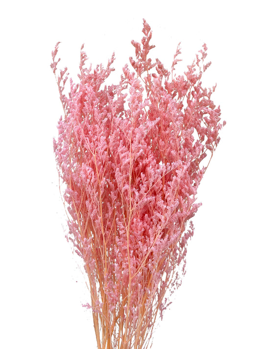 Dried Limonium Pink