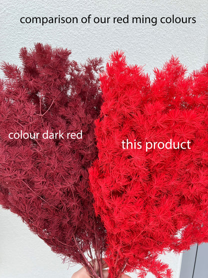 Dried Ming Red