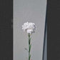 Artificial Carnation White
