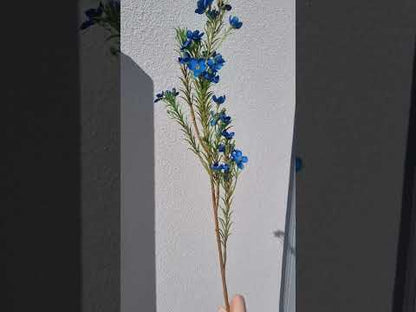 Flor de Cera Artificial Australiana Azul 