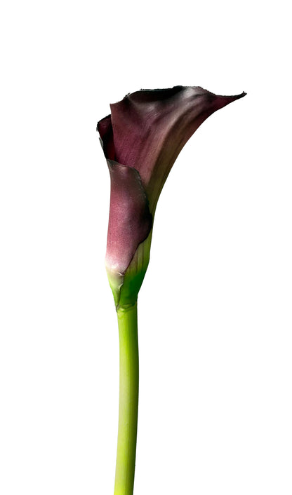 Artificial Real Touch Calla Lily Burgundy