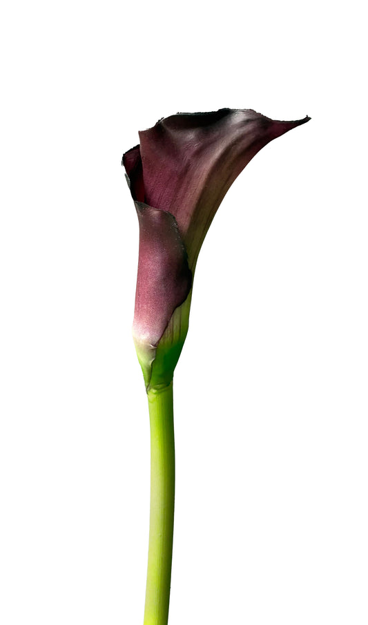 Artificial Real Touch Calla Lily Burgundy