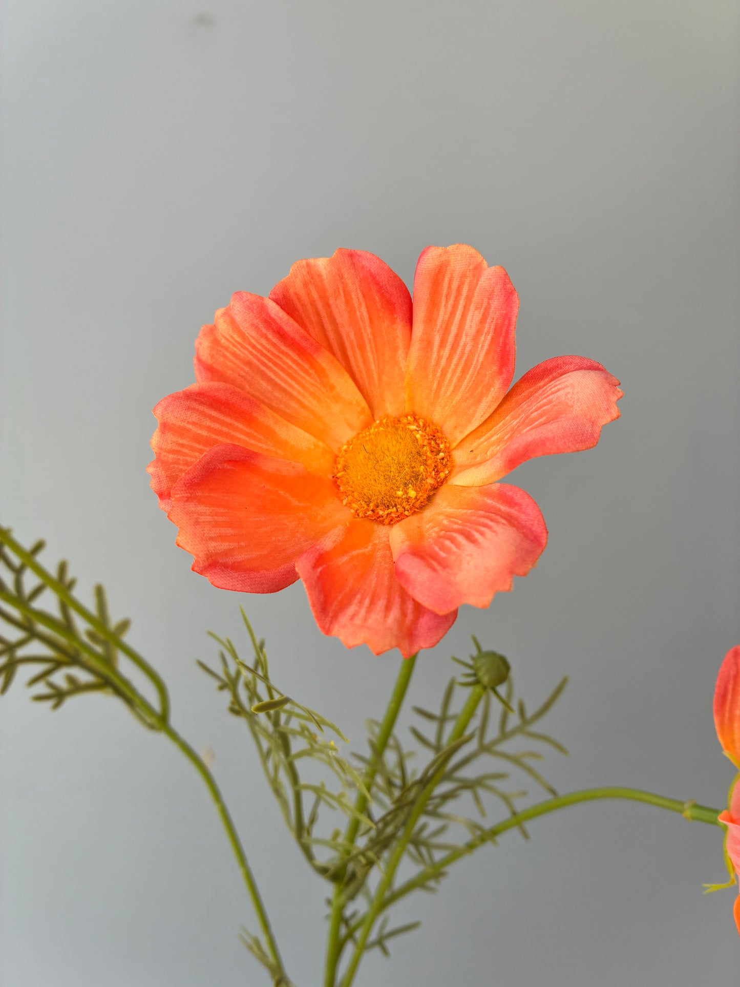 Artificial Real Touch Cosmos Spray Orange