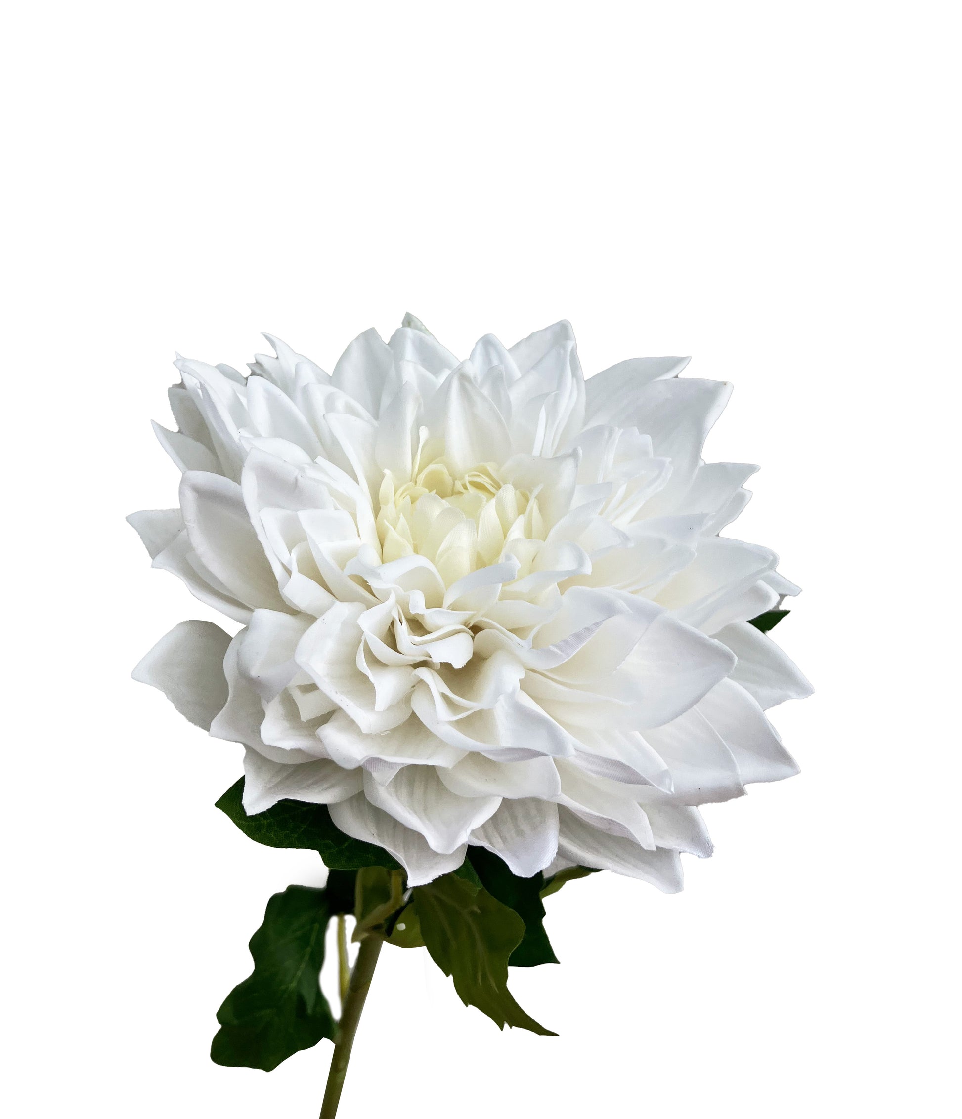 real touch dahlia white