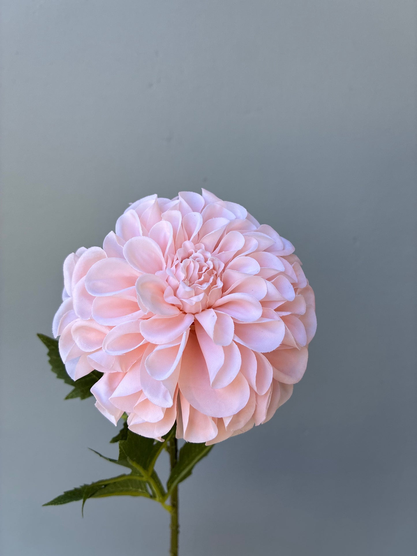 Artificial Real Touch Dahlia Pink Peach