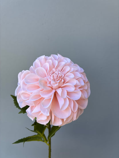 Artificial Real Touch Dahlia Pink Peach