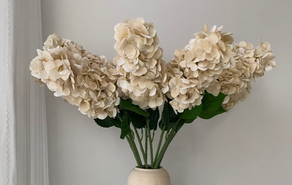 Artificial Real Touch Hydrangea Cream Champagne Cone