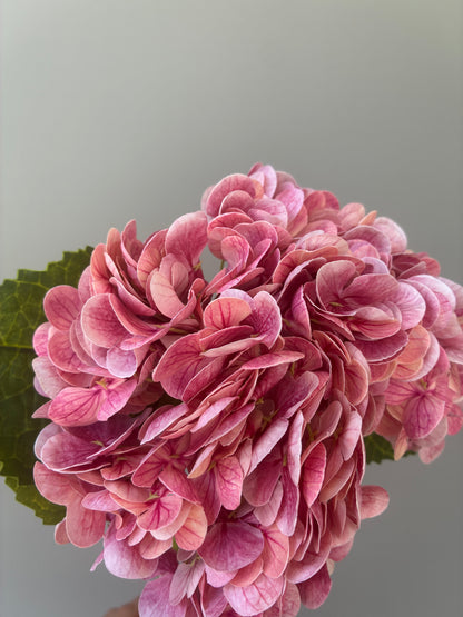 Artificial Real Touch Hydrangea Dusty Pink