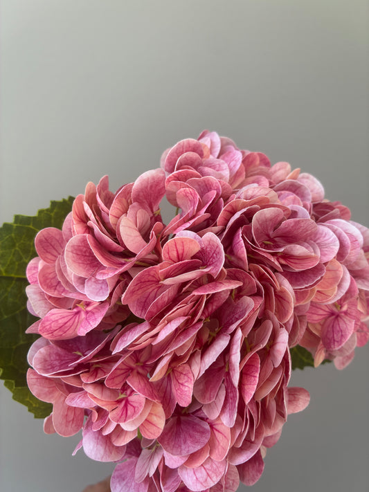 Artificial Real Touch Hydrangea Dusty Pink
