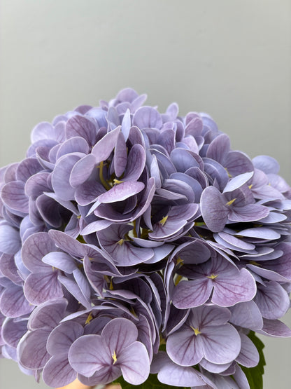 Artificial Real Touch Hydrangea Dusty Lilac