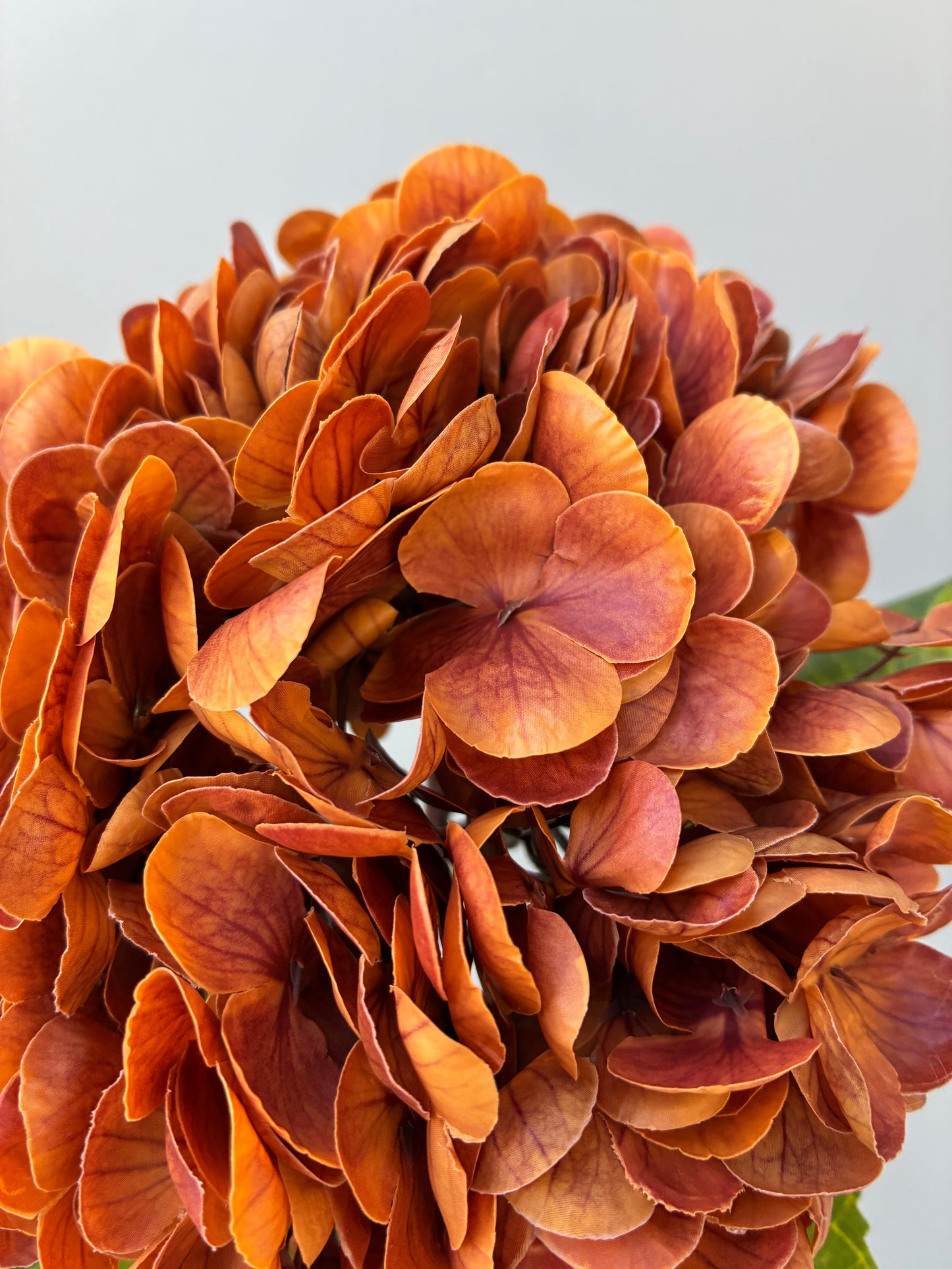 Artificial Real Touch Hydrangea Burnt Orange Rust