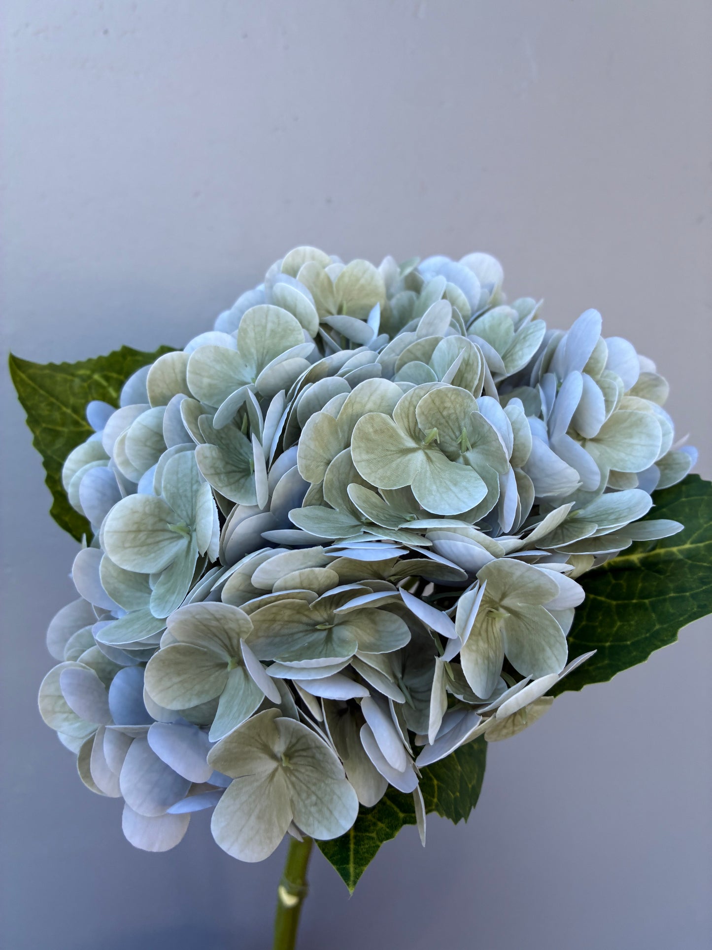 Artificial Real Touch Hydrangea Sage Green