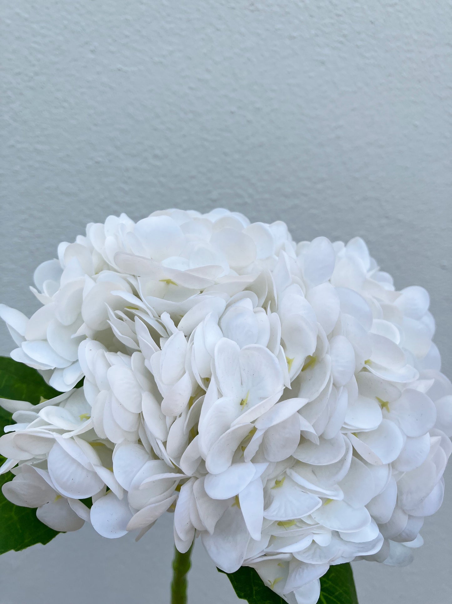 Artificial Real Touch Hydrangea White