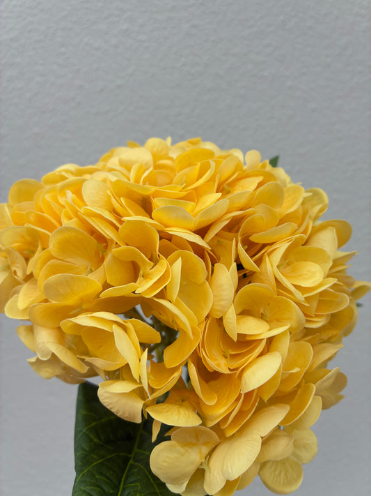 Artificial Real Touch Hydrangea Lemon Yellow