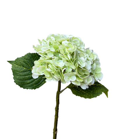 Artificial Real Touch Hydrangea Melon Green
