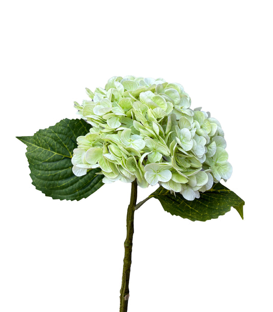 Artificial Real Touch Hydrangea Melon Green