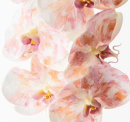 Artificial Real Touch Orchid Picasso Peach Pink Pastel