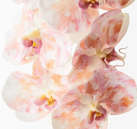 Artificial Real Touch Orchid Picasso Peach Pink Pastel