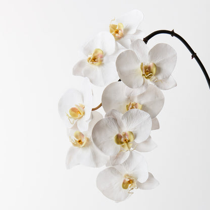 Artificial Real Touch Orchid White