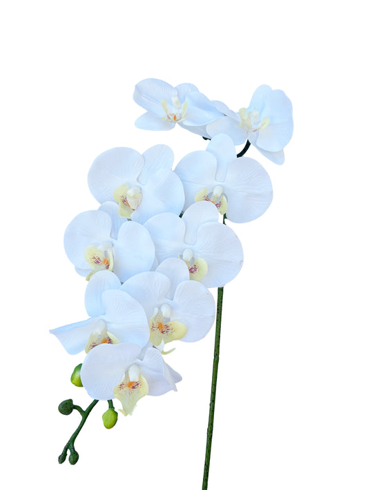 Orchidée Phalaenopsis artificielle blanche