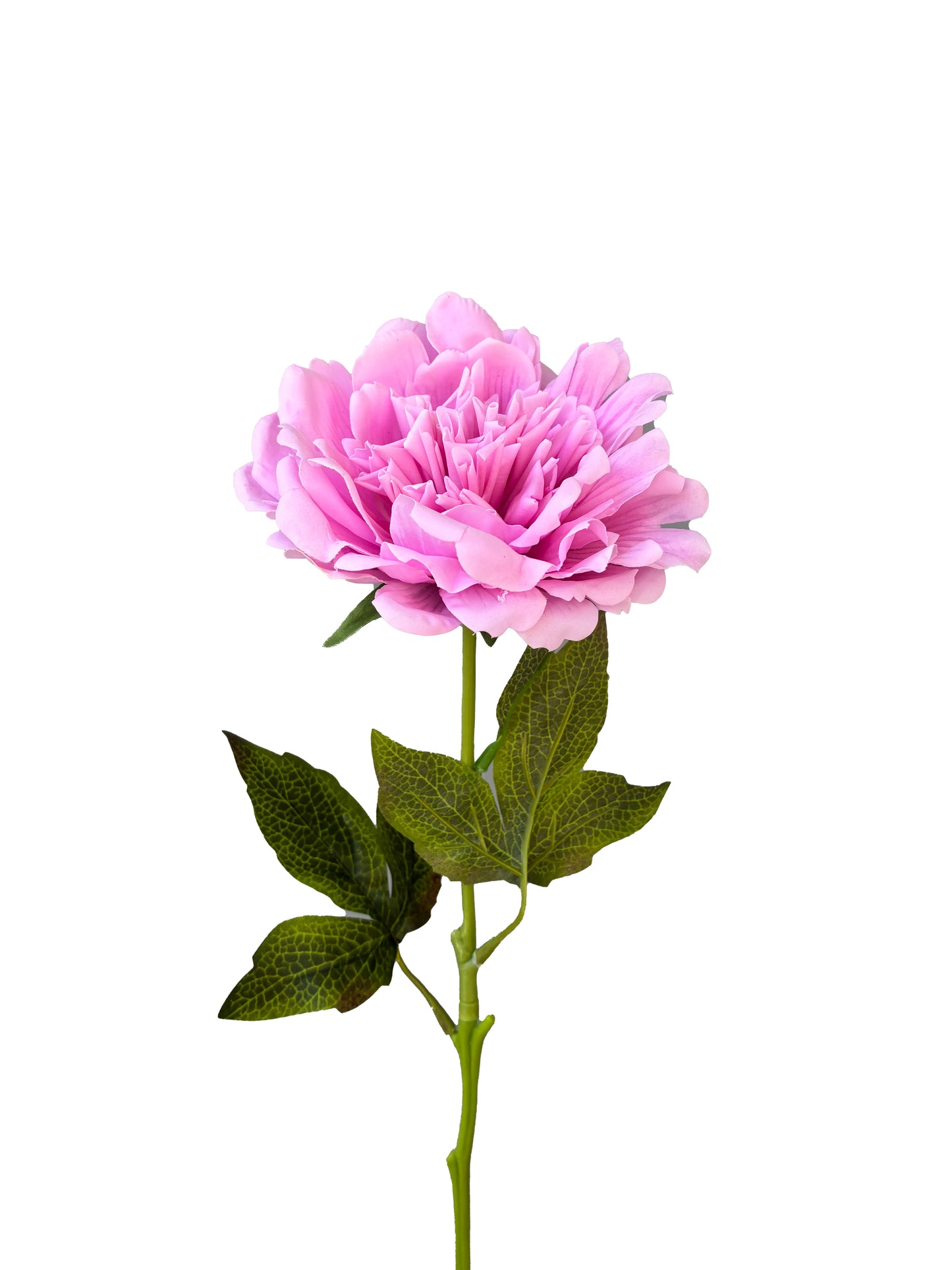 Peonía Artificial Real Touch Fucsia