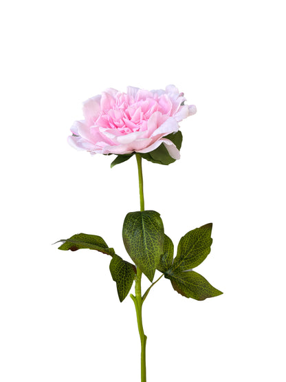 Peonía Artificial Real Touch Fucsia