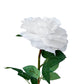 Artificial real touch Austin Rose White