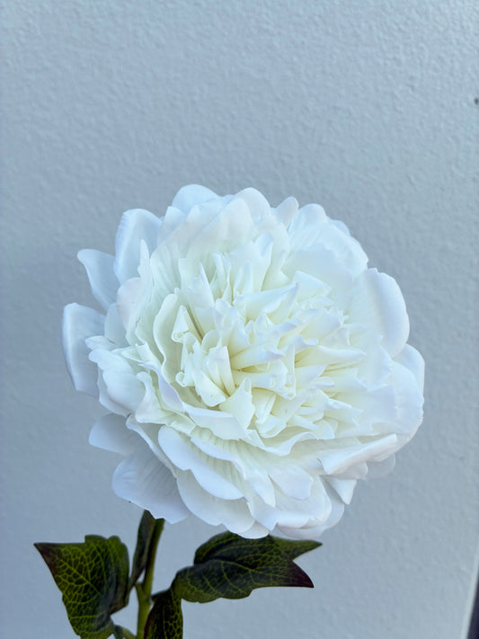 Artificial Real Touch Peony Large White