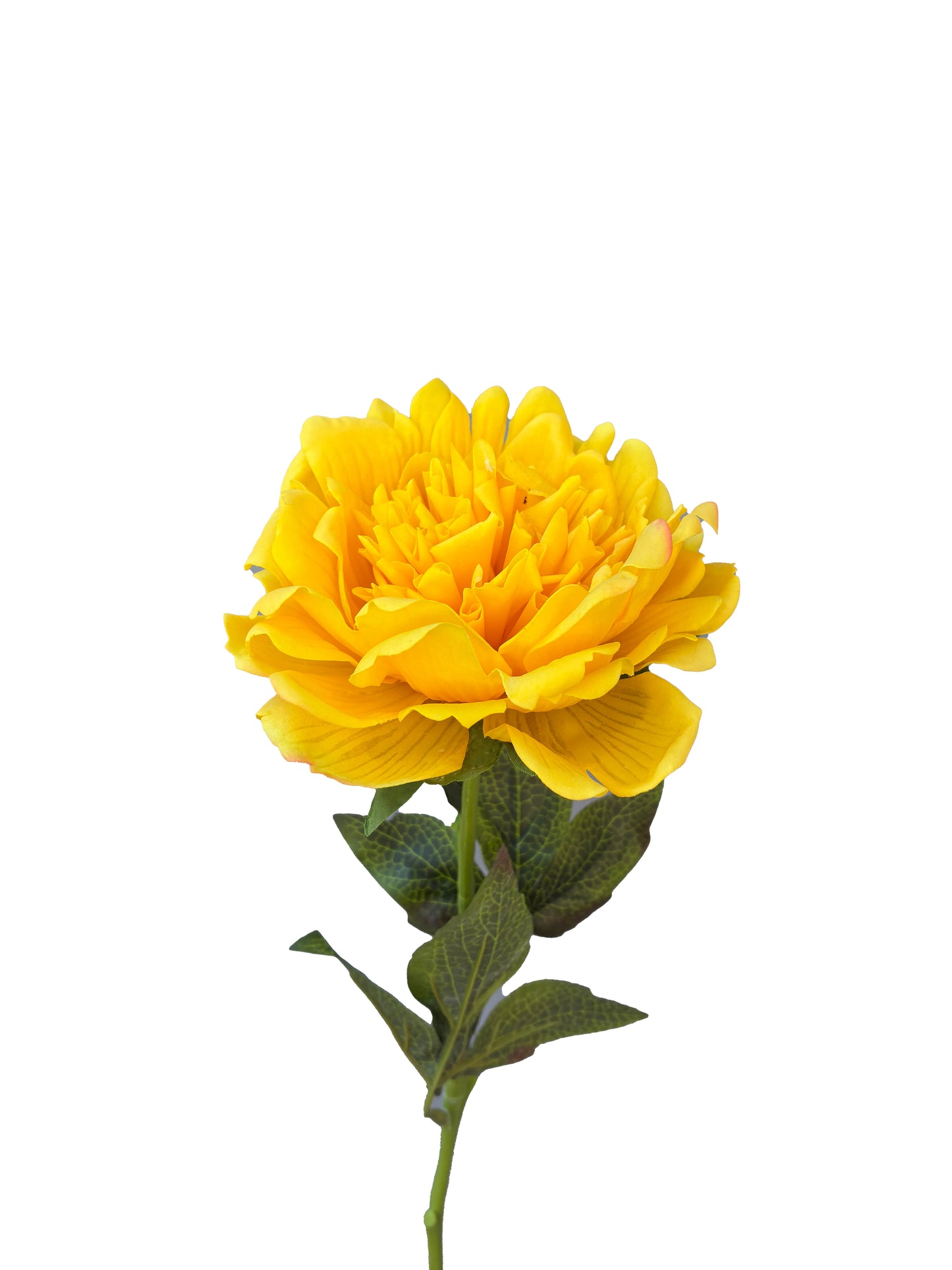 Peonía Artificial Real Touch Fucsia