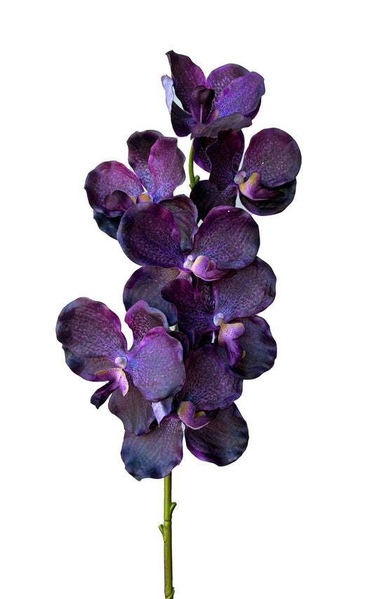 Artificial Real Touch Orchid Dark Plum