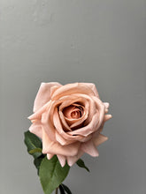 Wild Blooms Australia - Artificial, dried flower supplier & events