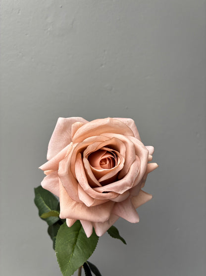 Artificial Real Touch Rose Latte