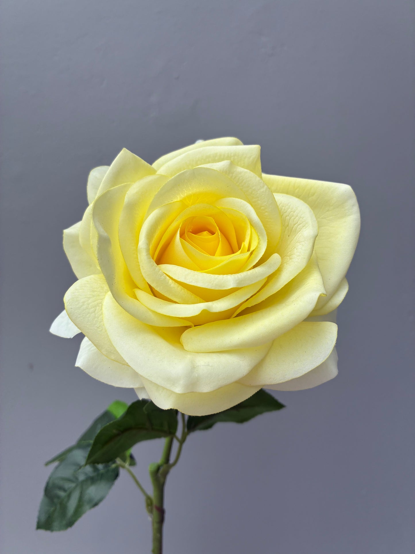 Artificial Real Touch Rose Lemon Yellow