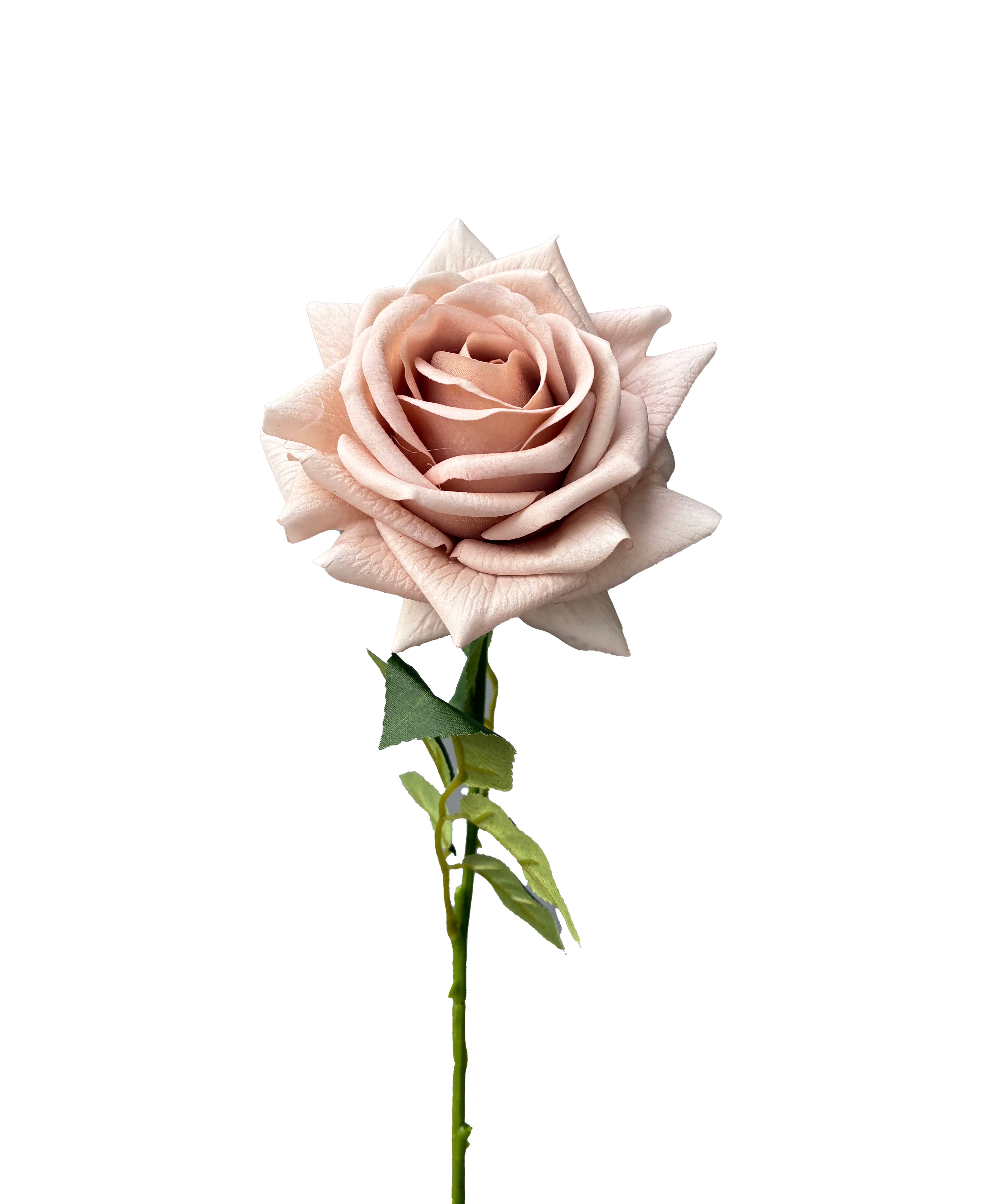 Artificial Real Touch Rose Quicksand – Wild Blooms