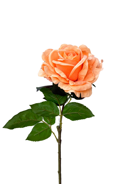 Real Touch Rose Soft Orange