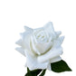 Rosa Artificial Real Touch Blanca