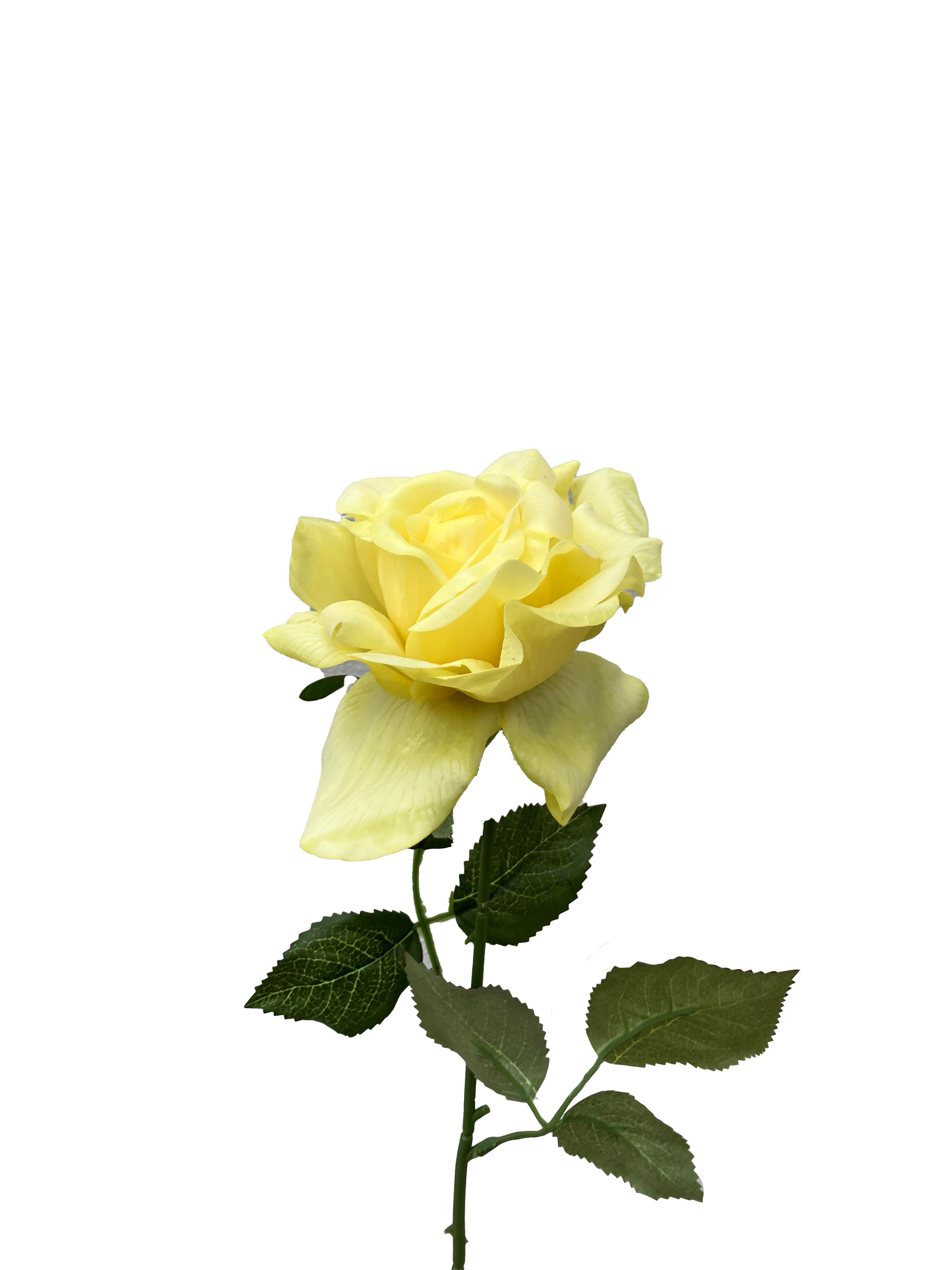 Yellow Realistic Roses Real Touch Rose Yellow – Wild Blooms