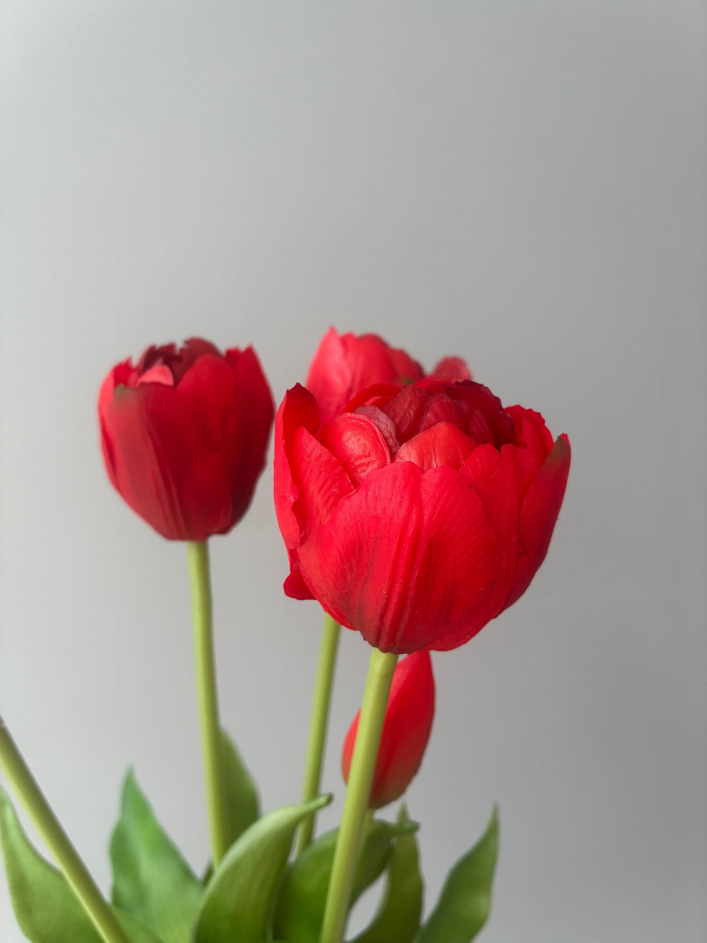 Artificial Real Touch Red