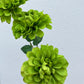 Artificial Pom Pom Dahlia Green